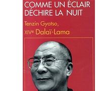 Padmakara Collectif (traducteur) – Comme un éclair déchire la nuit – Livre – Albin Michel
