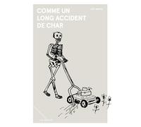 Comme un long accident de char