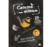 Comme un oiseau: Guide d'identification et conseils pour les accueillir
