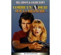 comme Un Oiseau sur la Branche