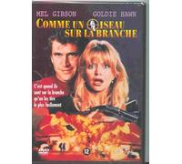 Comme un oiseau sur la branche