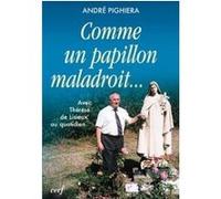 Comme un papillon maladroit... André Pighiera (Auteur), Claude Feidt (Préface)