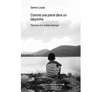 Comme une pierre dans un labyrinthe: Parcours d'un autiste Asperger