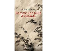Comme une pluie d'instants