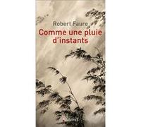 Comme une pluie d'instants Robert Faure (Auteur)