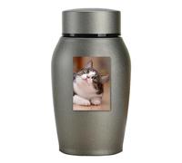 Commémorative pour animaux domestiques - Commémorative légère, petite pour chiens et chats, conteneur commémoratif en acier inoxydable | Design long qui peut accueillir même cendres D