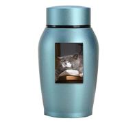 Commémorative pour animaux domestiques - Commémorative légère, petite pour chiens et chats, conteneur commémoratif en acier inoxydable | Design long qui peut accueillir même cendres D