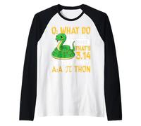 Comment Appelez-Vous Un Serpent de 3,14 mètres de Long A Pi Thon Manche Raglan