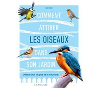 Comment Attirer Les Oiseaux Dans Son Jardin