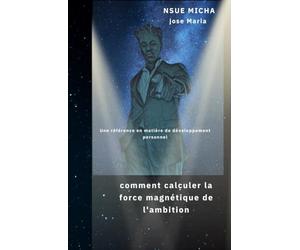 comment calculer la force magnetique de l'ambition