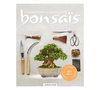 Comment créer et entretenir vos bonsaïs