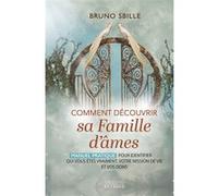 Comment découvrir sa famille d'âmes - Manuel pratique pour identifier qui vous êtes vraiment, votre mission de vie et vos dons Bruno Sbille (Auteur)