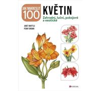 Comment dessiner 100 fleurs