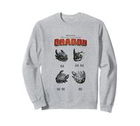 Comment Dresser Votre Dragon (Film 2025 HA HA HA HE HE NO) Sweatshirt