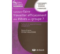 Comment Faire Travailler Efficacement Des Élèves En Groupe ? - Tutorat Et Apprentissage Coopératif