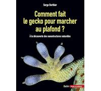 Comment fait le gecko pour marcher au plafond ? – À la découverte des nanostructures naturelles