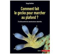 Comment Fait Le Gecko Pour Marcher Au Plafond ? - A La Découverte Des Nanostructures Naturelles