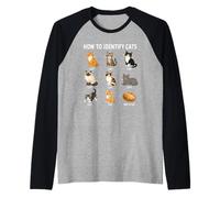 Comment Identifier Les Chats Tableau Drôle des Chats Races Manche Raglan