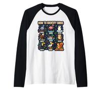 Comment identifier Les Oiseaux écureuil Pas Oiseau drôle ornithologue Manche Raglan