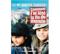 Comment j'ai f?t? la fin du monde by Doroteea Petre