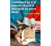 Comment je n'ai jamais réussi à attraper le père Noël