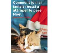 Comment je n'ai jamais réussi à attraper le père Noël - Laurence Labbé - Bookelis - broché - Roman