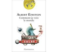 Comment Je Vois Le Monde