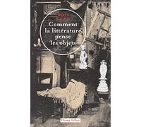 Comment la littérature pense les objets: Théorie littéraire de la culture matérielle