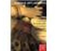 Comment la mélancolie est arrivée à Mogador ou Le septième Songe de Hassan Edition bilingue français-espagnol - De como llego a Mogador la melancolia - Alberto Ruy Sanchez - Rocher Eds Du - broché - N