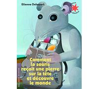 Comment la souris reçoit une pierre sur la tête et découvre le monde - L'heure des histoires - De 3 à 7 ans