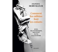 Comment les rabbins font les enfants: Sexe, transmission et identité dans le judaïsme