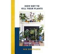 Comment ne pas tuer vos plantes