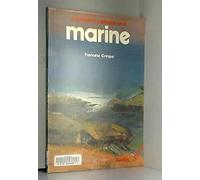 Comment Peindre Une Marine