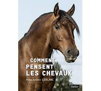Comment pensent les chevaux