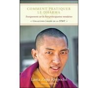 Comment pratiquer le Dharma - Enseignements sur les huit préoccupations mondaines