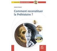 Comment reconstituer la préhistoire ? Romain Pigeaud (Auteur)