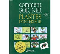 Comment Soigner Vos Plantes D'Interieur