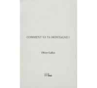 Comment va ta montagne ? - Olivier Gallon - La Barque - broché - Poésie