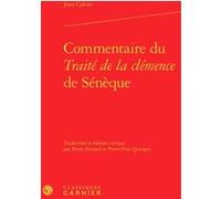 Commentaire du Traité de la clémence de Sénèque Jean Calvin (Auteur), Olivier Beaud (Direction), Jean-François Kervégan (Direction)