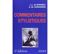 Commentaires stylistiques