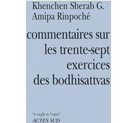 Commentaires sur les trente-sept exercices des boddhisattvas Khenchen sherab g. Amipa rinpoche (Auteur), Anne Deriaz (Traduction)