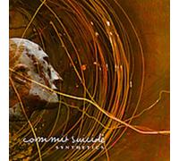 Commit Suicides - Synthetics