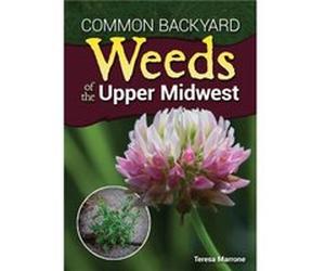 Common Backyard Weeds of the Upper Midwest by Teresa Marrone Teresa Marrone (Auteur)