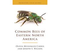 Common Bees of Eastern North America