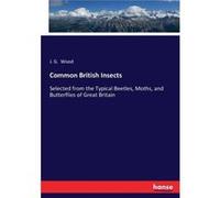 Common British InsectsSelected from the Typical Beetles Moths and Butterflies of Great Britain - J. G. Wood - BoD Third Party Titles - Livre en Anglais J. G. WoodJ. G. Wood (Auteur)