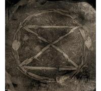 Common Eider - Extinction [Import]