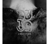 Common Eider, King Eider - A Wound of Body