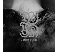 Common Eider & King Eider - A Wound of Body [Import]