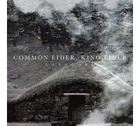 Common Eider, King Eider - Egregore [Import]