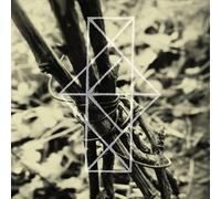 Common Eider - Shrines Unwanted, Respite for The Cast Aside [Import]